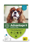 Advantage Monthly topical flea treatment for dogs 11-20lbs