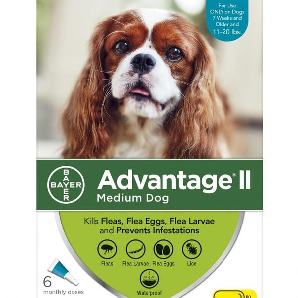 Advantage Monthly topical flea treatment for dogs 11 20lbs