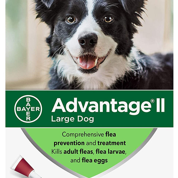 Advantage large dog flea treatment online